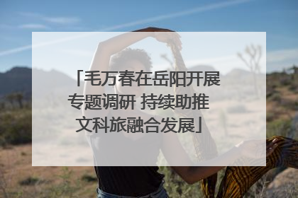 毛万春在岳阳开展专题调研 持续助推文科旅融合发展