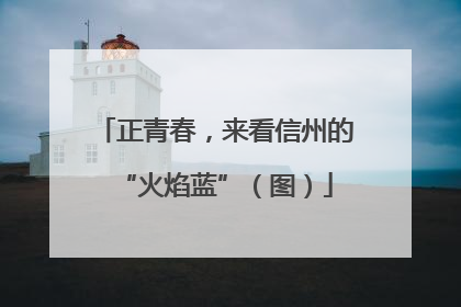 正青春，来看信州的“火焰蓝”（图）