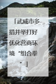 武威市多措并举打好优化营商环境“组合拳”