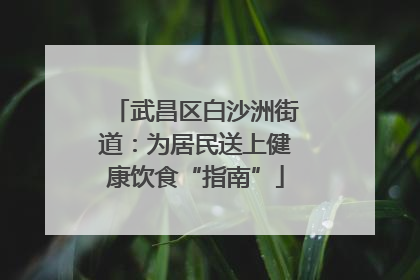 武昌区白沙洲街道：为居民送上健康饮食“指南”