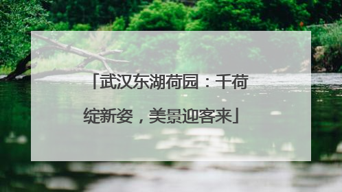 武汉东湖荷园：千荷绽新姿，美景迎客来