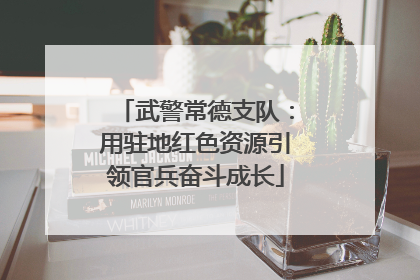 武警常德支队：用驻地红色资源引领官兵奋斗成长