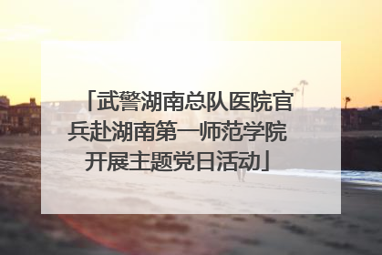 武警湖南总队医院官兵赴湖南第一师范学院开展主题党日活动