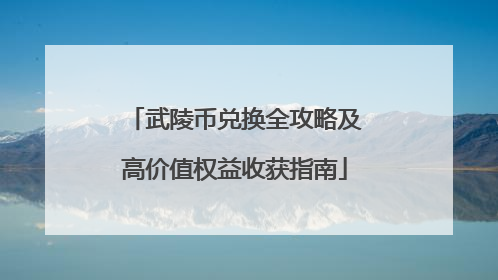 武陵币兑换全攻略及高价值权益收获指南