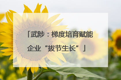 武陟：梯度培育赋能企业“拔节生长”