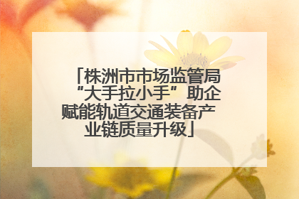 株洲市市场监管局“大手拉小手”助企赋能轨道交通装备产业链质量升级