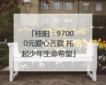 桂阳：97000元爱心善款 托起少年生命希望