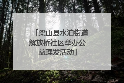 梁山县水泊街道解放桥社区举办公益理发活动