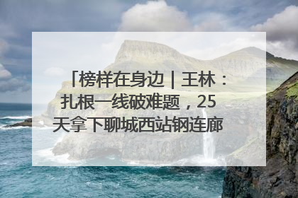 榜样在身边｜王林：扎根一线破难题，25天拿下聊城西站钢连廊“硬核”工程