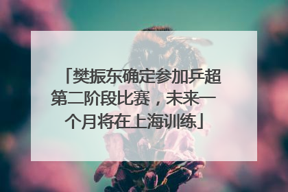 樊振东确定参加乒超第二阶段比赛，未来一个月将在上海训练