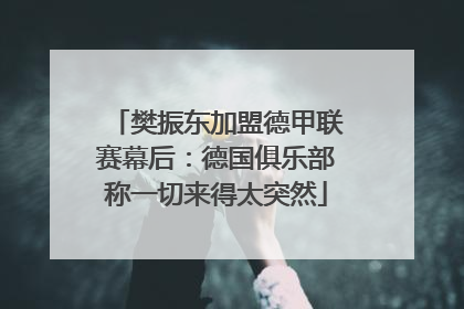 樊振东加盟德甲联赛幕后：德国俱乐部称一切来得太突然