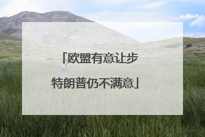 欧盟有意让步 特朗普仍不满意