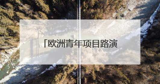 欧洲青年项目路演代表团走进天津