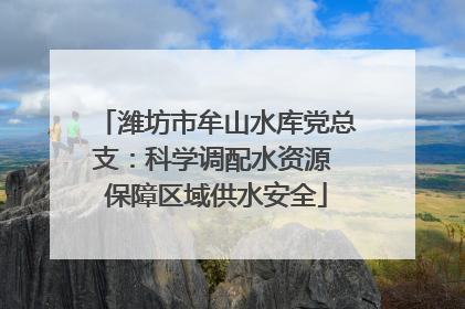 潍坊市牟山水库党总支：科学调配水资源 保障区域供水安全