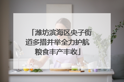 潍坊滨海区央子街道多措并举全力护航粮食丰产丰收