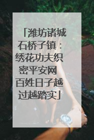 潍坊诸城石桥子镇：绣花功夫织密平安网 百姓日子越过越踏实