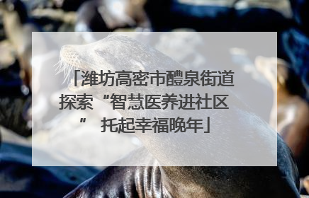 潍坊高密市醴泉街道探索“智慧医养进社区” 托起幸福晚年