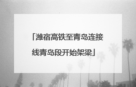 潍宿高铁至青岛连接线青岛段开始架梁