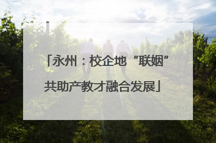 永州：校企地“联姻” 共助产教才融合发展