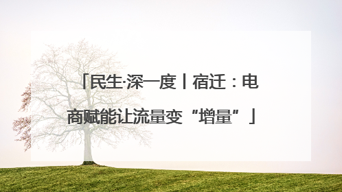 民生·深一度丨宿迁：电商赋能让流量变“增量”