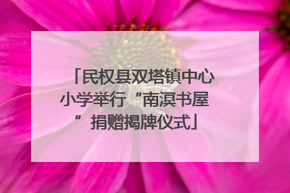 民权县双塔镇中心小学举行“南溟书屋”捐赠揭牌仪式