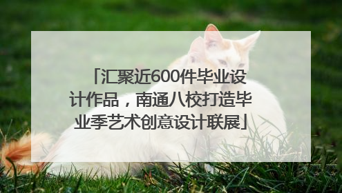 汇聚近600件毕业设计作品，南通八校打造毕业季艺术创意设计联展