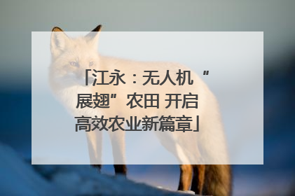 江永：无人机“展翅”农田 开启高效农业新篇章