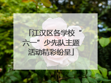 江汉区各学校“六一”少先队主题活动精彩纷呈