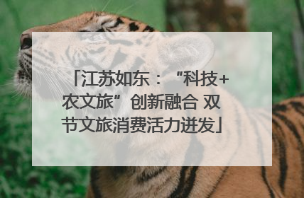 江苏如东：“科技+农文旅”创新融合 双节文旅消费活力迸发