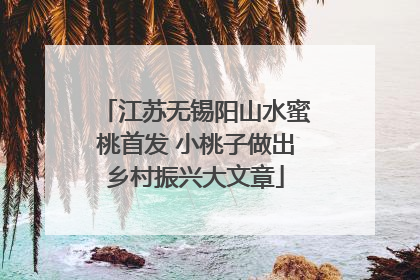江苏无锡阳山水蜜桃首发 小桃子做出乡村振兴大文章