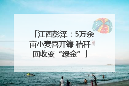 江西彭泽：5万余亩小麦喜开镰 秸秆回收变“绿金”