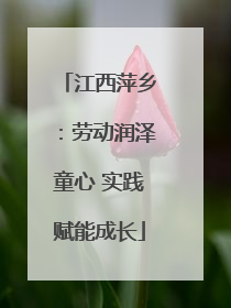 江西萍乡：劳动润泽童心 实践赋能成长