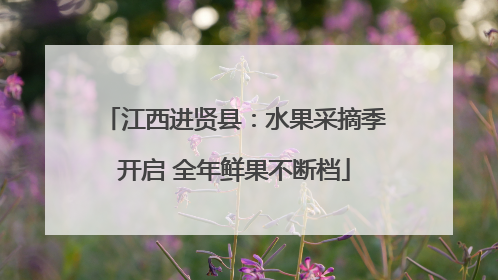 江西进贤县：水果采摘季开启 全年鲜果不断档