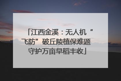 江西金溪：无人机“飞防”破丘陵植保难题 守护万亩早稻丰收