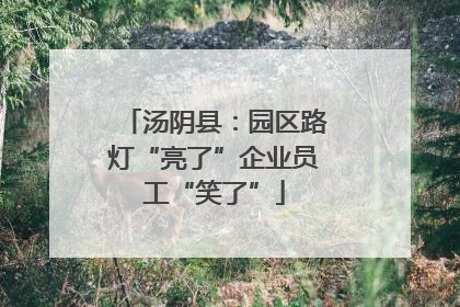 汤阴县：园区路灯“亮了”企业员工“笑了”