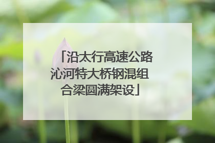 沿太行高速公路沁河特大桥钢混组合梁圆满架设