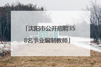 沈阳市公开招聘358名事业编制教师