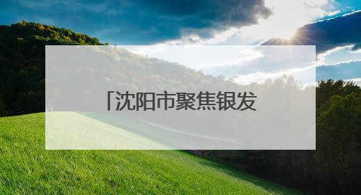 沈阳市聚焦银发经济释放530亿元投资合作机会