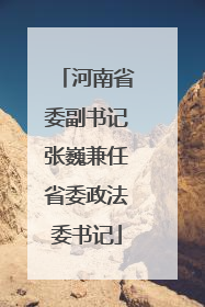 河南省委副书记张巍兼任省委政法委书记