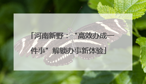 河南新野：“高效办成一件事”解锁办事新体验