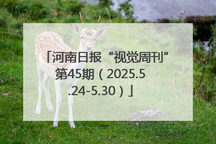 河南日报“视觉周刊”第45期（2025.5.24-5.30）