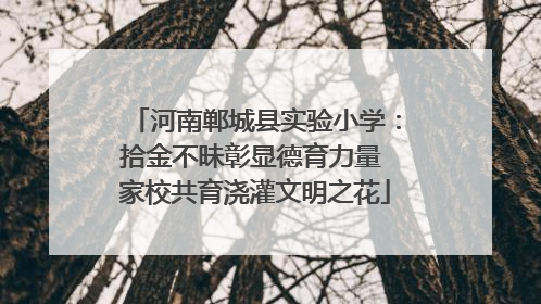 河南郸城县实验小学：拾金不昧彰显德育力量 家校共育浇灌文明之花