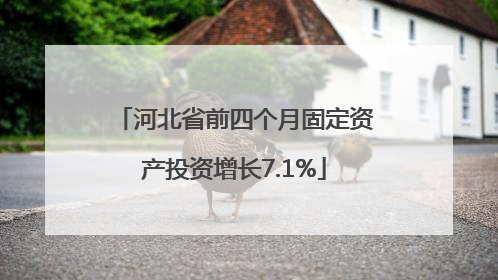 河北省前四个月固定资产投资增长7.1%