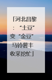 河北昌黎：“土豆”变“金豆” 马铃薯丰收采挖忙