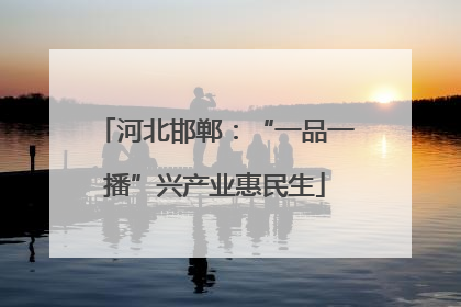 河北邯郸：“一品一播”兴产业惠民生