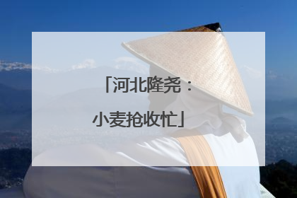 河北隆尧：小麦抢收忙
