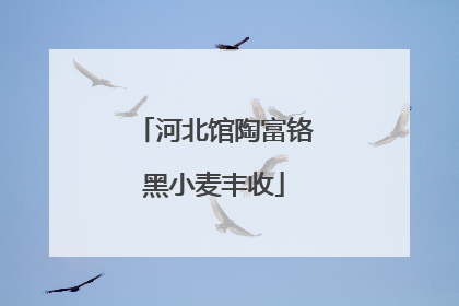 河北馆陶富铬黑小麦丰收