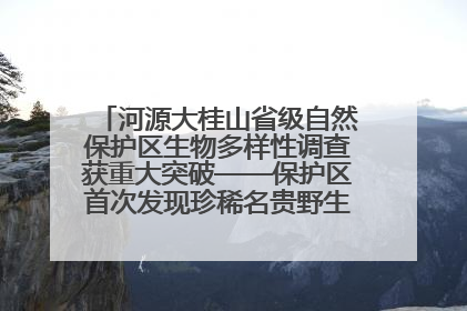 河源大桂山省级自然保护区生物多样性调查获重大突破——保护区首次发现珍稀名贵野生干巴菌与钝尾两头蛇
