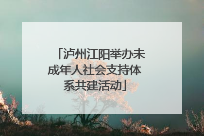泸州江阳举办未成年人社会支持体系共建活动