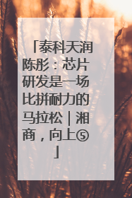 泰科天润陈彤：芯片研发是一场比拼耐力的马拉松｜湘商，向上⑤